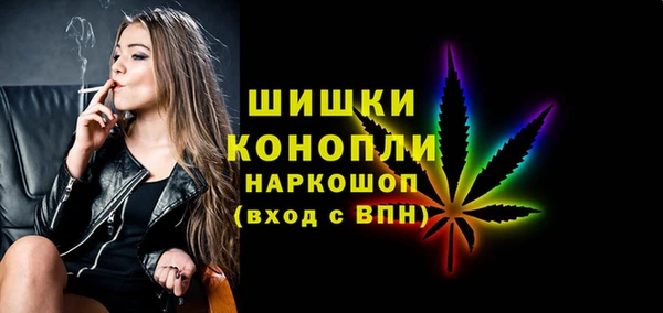прущие грибы Коряжма