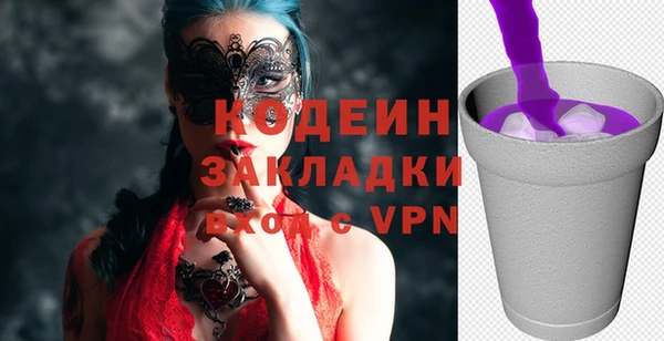 прущие грибы Коряжма